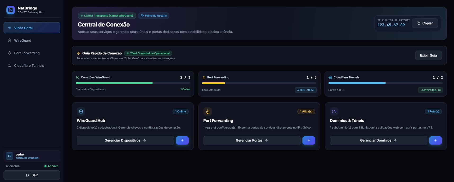 Dashboard NatBridge